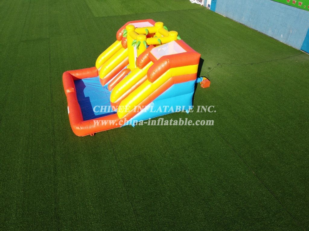 T6-243 Inflatable Water Slide With Pool