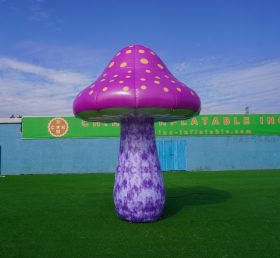S4-525 Funghi giganti
