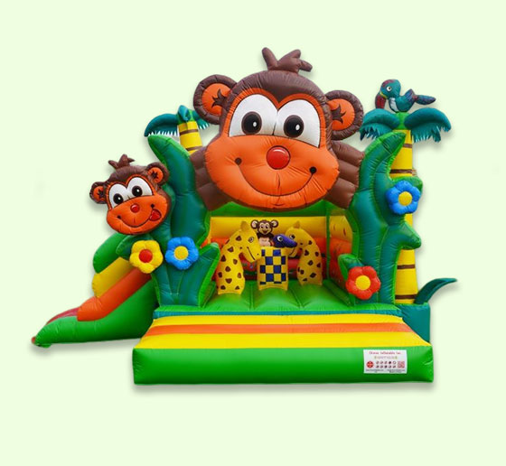 Inflatable Bouncer