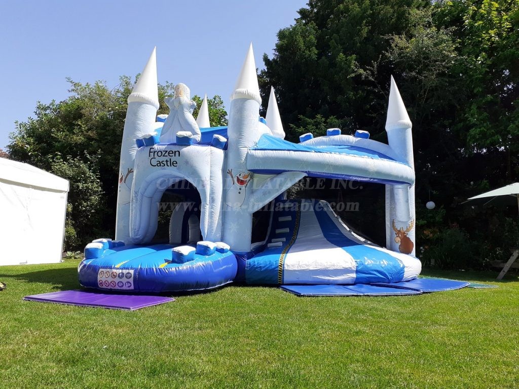 T2-4593 Frozen Castle With Slide