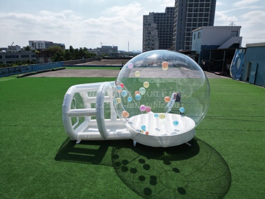 Tent1-505B Transparent Tunnel Bubble Tents Outdoor Camping Tent