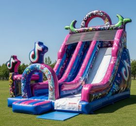 T8-8358 Tiktok Theme Inflatable Dry Slid...