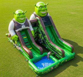 T8-7462 Shrek Theme Inflatable Water Sli...