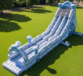 T8-8818 Shimmer & Shine Inflatable Dry S...