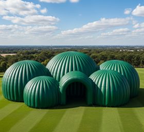 Tent1-6217 Green Dome Cluster Inflatable...