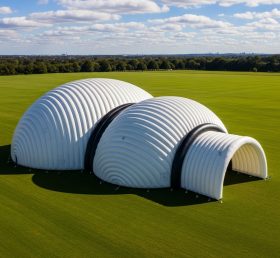 Tent1-6259 Modern Theme Inflatable Dome