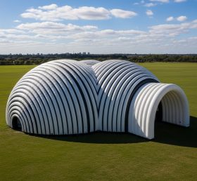 Tent1-6265 Stripe Arched Tunnel Inflata...