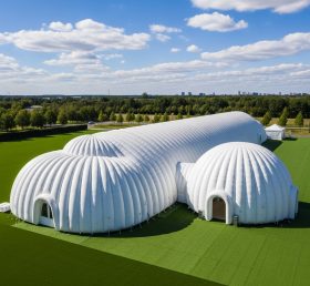 Tent1-6283 White Inflatable Dome Tent
