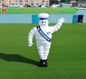 D3-63 Pallone d'Aria Michelin