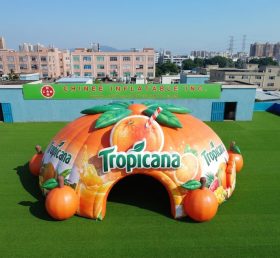 Tent1-7223 Cupola Gonfiabile Pubblicitaria Tropicana