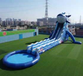 GS2-203 Scivolo d’Acqua Gigante Gonfiabile a Tema Balena