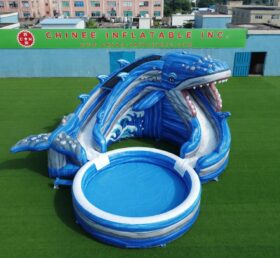 T8-6225 Scivolo d'Acqua Gonfiabile a Tema Balena