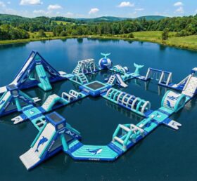 S750 Parco Acquatico Gonfiabile a Tema Balena