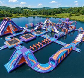 S807 Parco Acquatico Gonfiabile a Tema Polpo