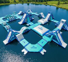 S850 Parco Acquatico Gonfiabile a Tema Delfino