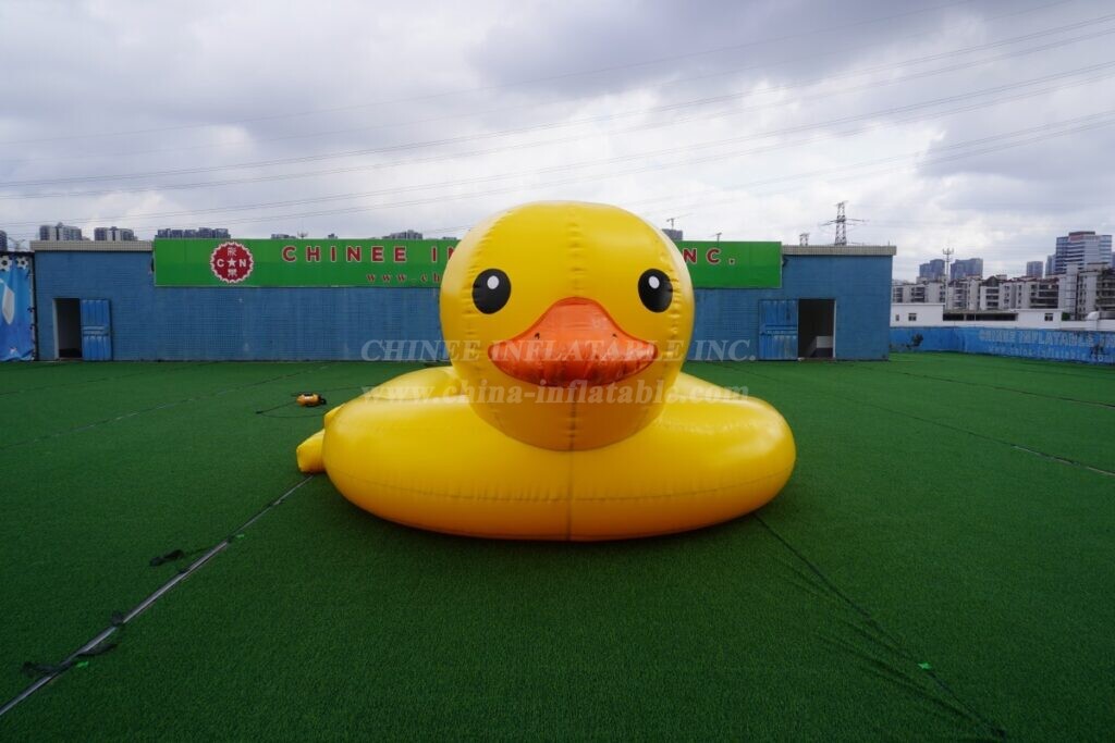 Pool2-650 Duck Shaped Inflatable Pool